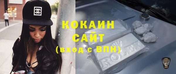 шишки Абаза