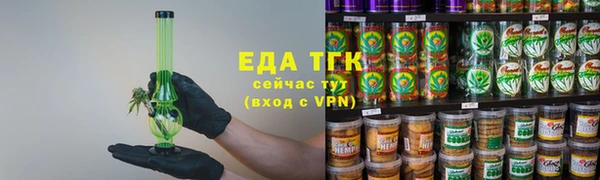 шишки Абаза