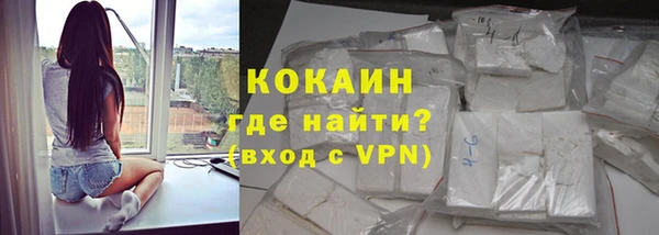 шишки Абаза