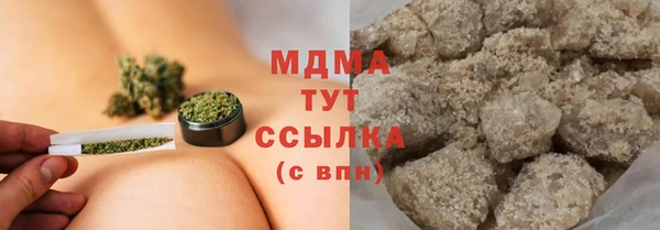 шишки Абаза