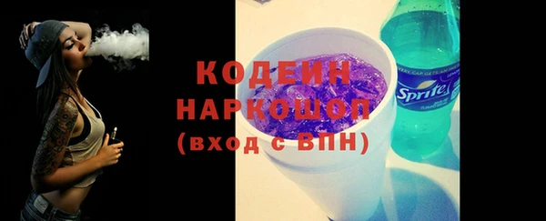 шишки Абаза