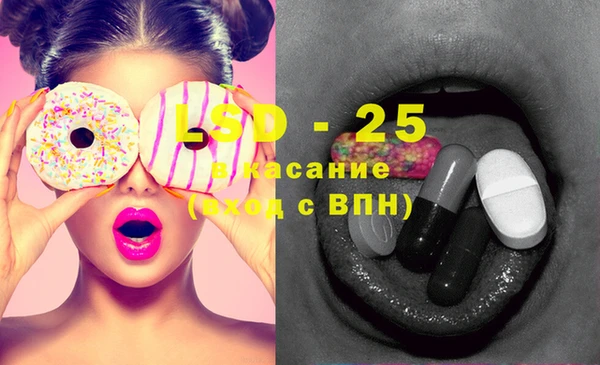 шишки Абаза