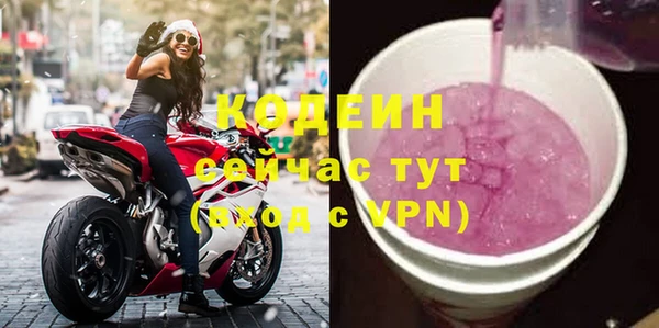 шишки Абаза