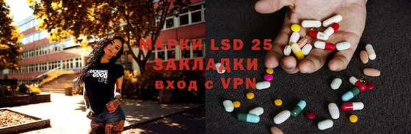 шишки Абаза