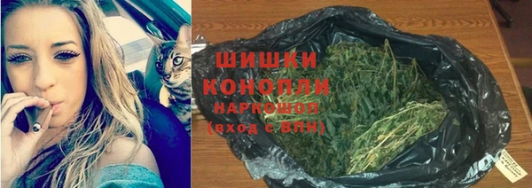 шишки Абаза