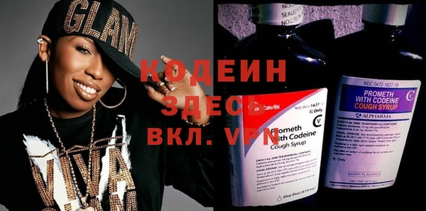 шишки Абаза
