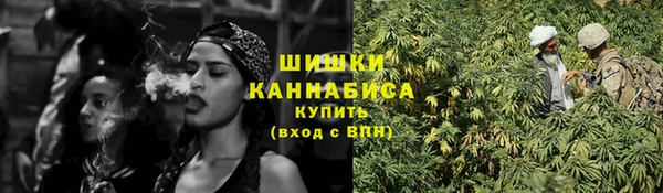 шишки Абаза