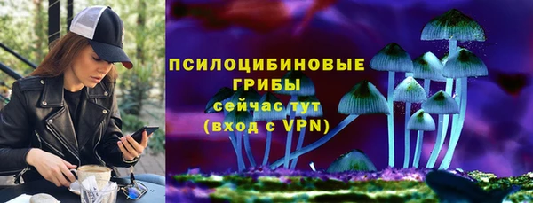 МДПВ Абдулино