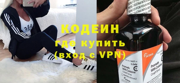 шишки Абаза