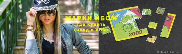 шишки Абаза