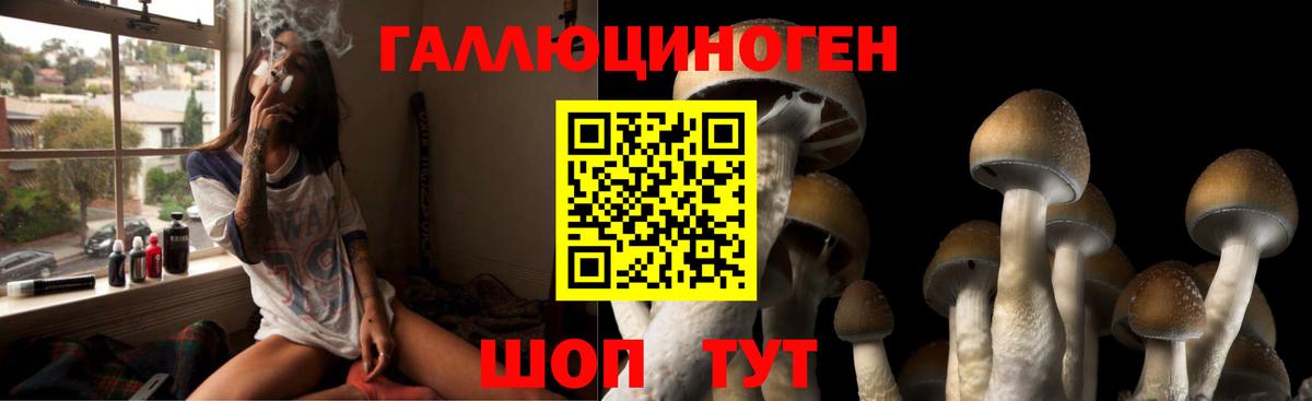 Псилоцибиновые грибы прущие грибы Североморск