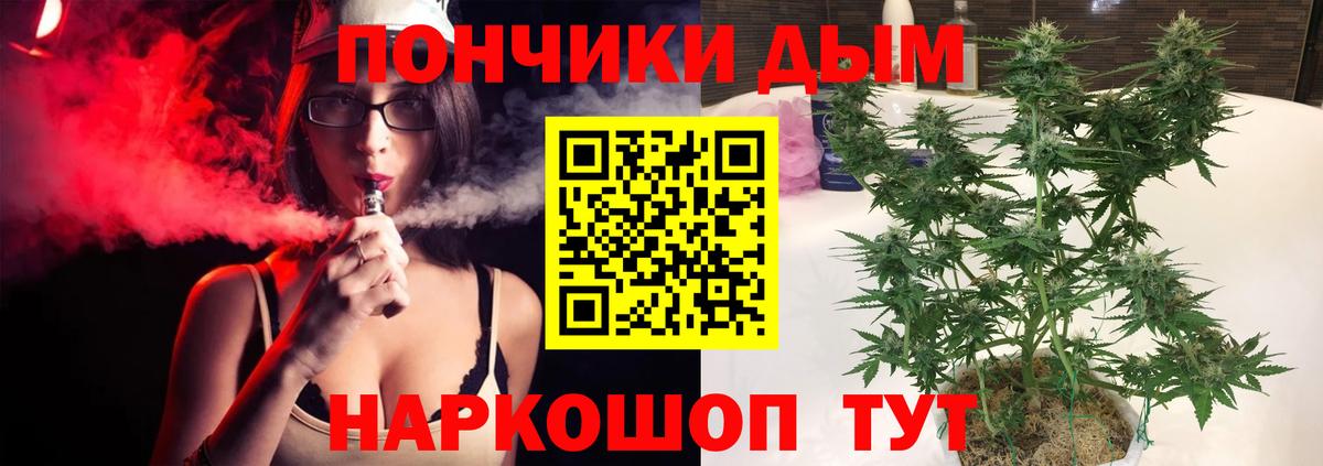 Каннабис семена  Вход с VPN  Конопля конопля  Североморск 